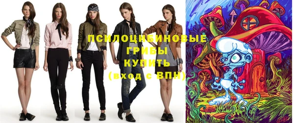 прущие крисы Алексеевка